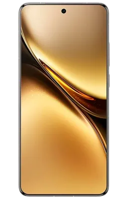 vivo X200 Pro 16GB/512GB Grey